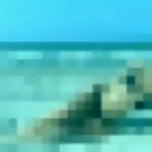 Lamia, fille de 32 ans propose plan cul à Trimbach