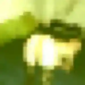 Profil de Xena à Uriménil (36 ans) - plan cul gratuit