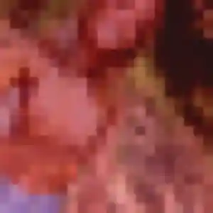 Belle Louna, 30 ans à Uzemain - découvrir son profil