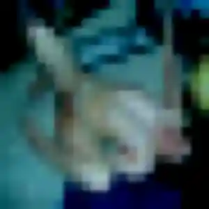 plan cul à Vacquiers : profil de Caroline, 23 ans - inscription gratuite