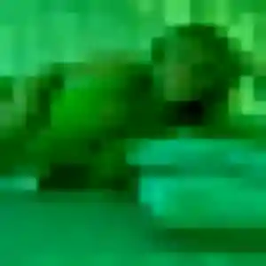 Flore, 35 ans, connectée à Val-au-Perche pour une rencontre coquine