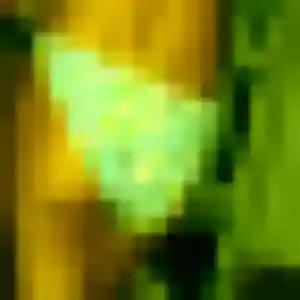 Photo de Ornella à Val-d'Aigoual (25 ans) - plan cul sans inscription