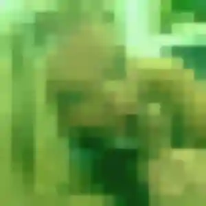 Découvre Sarah, 31 ans à Val-d'Aigoual en t'inscrivant