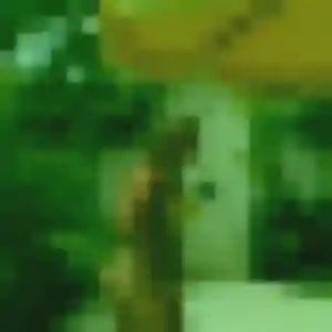 Photo perso de Mathilde, 32 ans à Val-de-Moder - rencontre coquine