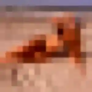 Celeste de Valentine, 38 ans - plan cul sans prise de tête