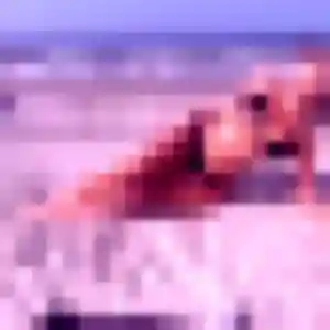 Soraya, 29 ans, connectée à Valines pour une rencontre coquine