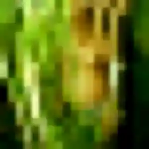 Photo de Marilou à Vallauris (40 ans) - plan cul discret