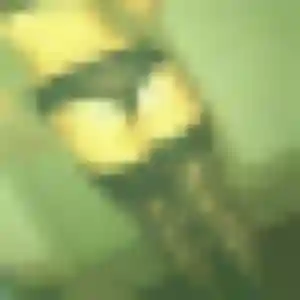 Profil de Wendy à Vallauris (30 ans) - plan cul gratuit