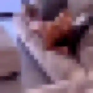 Photo perso de Nadia, 43 ans à Valleroy - plan discret