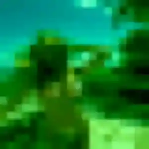 Rencontre Salome, 24 ans à Valorbiquet en t'inscrivant