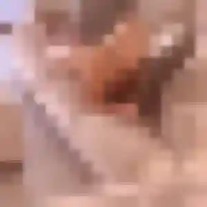 Eglantine (40 ans) à Valros propose une rencontre aujourd'hui