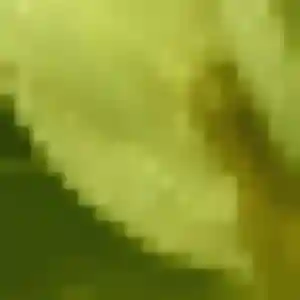 Helene, 44 ans, disponible à Vanves pour un plan cul