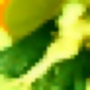 Dina, 28 ans, connectée à Vaugrigneuse pour une rencontre coquine