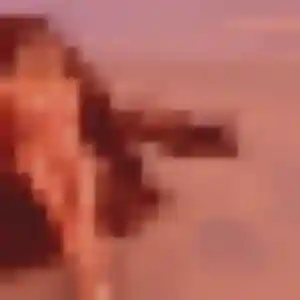Daniela, 44 ans, disponible à Veaugues pour un plan cul
