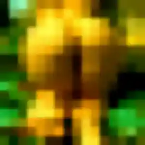 plan cul à Vers-sur-Selle : photo de Daniela, 22 ans - accès libre