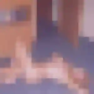 Photo perso de Laure, 36 ans à Vertou - rencontre sans lendemain