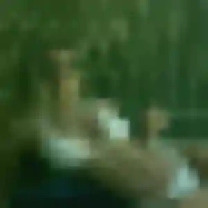 Chiara (29 ans) à Vic-la-Gardiole attend une rencontre maintenant
