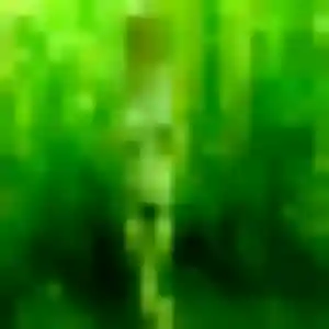 plan cul à Vicq : photo de Idalina, 37 ans - inscription gratuite