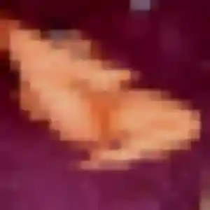 Jolie Albertine, 34 ans à Vieux - voir sa photo