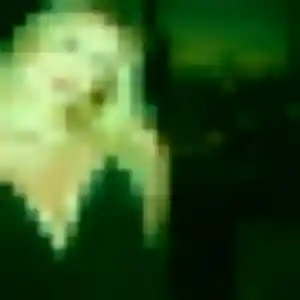 Découvre Juliette, 30 ans à Villars en t'inscrivant