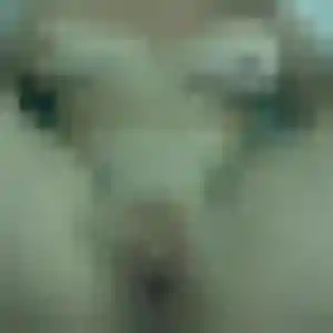 Jolie Wendy, 22 ans à Villeconin - la contacter