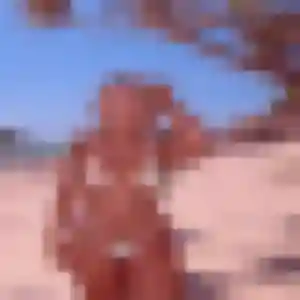 Profil de Catherine à Villefranche-sur-Mer (23 ans) - plan cul sans inscription