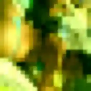 plan cul à Villeneuve-Loubet : photo de Philippine, 31 ans - accès libre