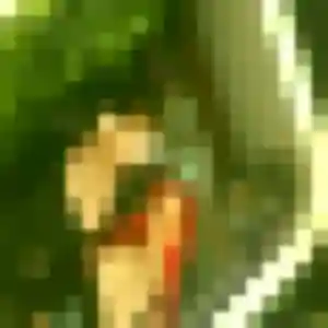 Tamara, 35 ans, dispo pour plan cul à Vitré