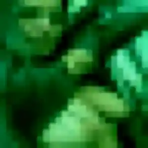 Helene, 33 ans, disponible à Wardrecques pour un plan cul