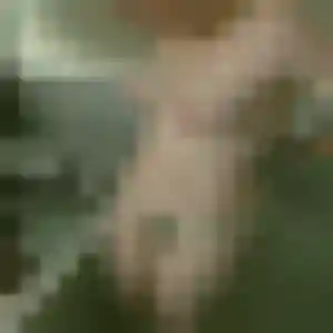 Adelaide, 23 ans, dispo pour plan cul à Warhem