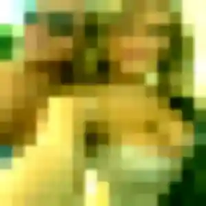 plan cul à Wasquehal : photo de Apolline, 42 ans - sans engagement