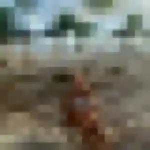 Profil de Alienor à Watten (28 ans) - plan cul sans inscription