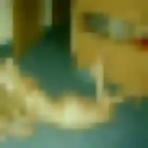 Profil de Aisha à Wavrin (39 ans) - plan cul gratuit
