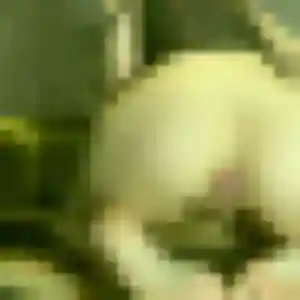 Daniela, 37 ans, dispo pour plan cul à Witternesse