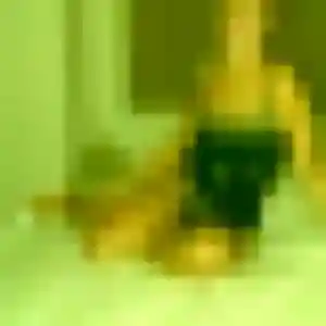 Ines, 28 ans, connectée à Ychoux pour une rencontre coquine
