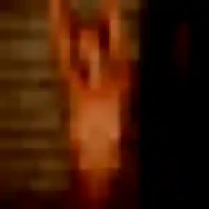 Rencontre Monique, 33 ans à Youx en privé