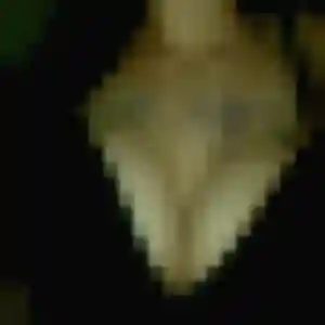 Photo perso de Idalina, 38 ans à Yvrac - rencontre coquine